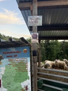 Řešení únikové hra ve třech liniích základu podle věku účastníků, VIP hra rekvizitami na půlden s farmářem